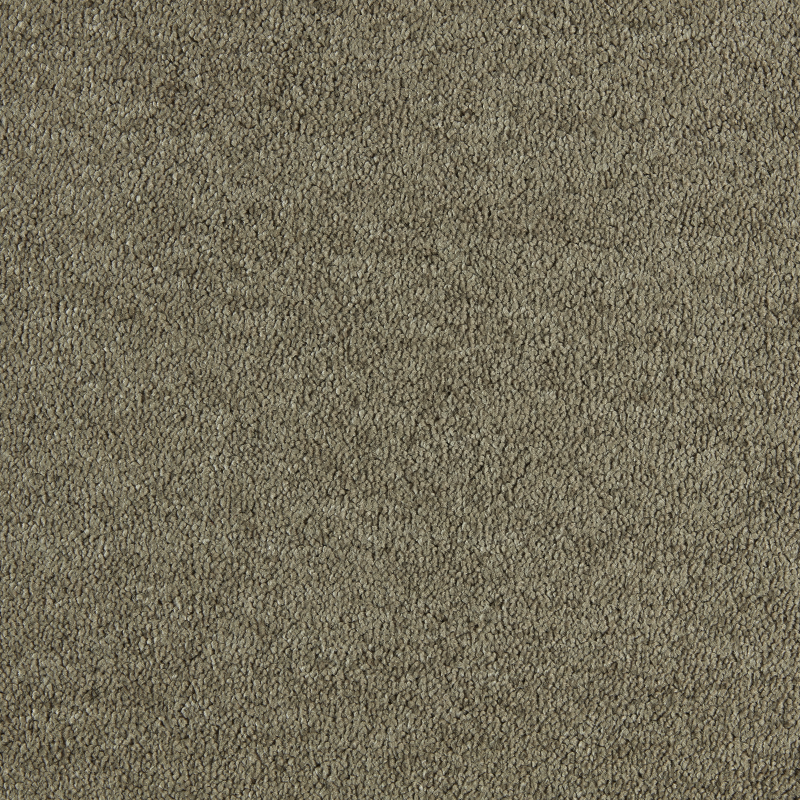Wzór plamoodpornej luksusowej wykładziny dywanowej SmartStrand Lounge ZEO.0190
