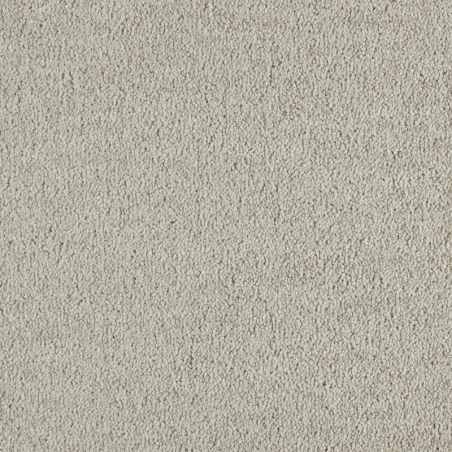 Wzór plamoodpornej luksusowej wykładziny dywanowej SmartStrand Lounge ZEO.0451