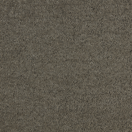 Wzór plamoodpornej luksusowej wykładziny dywanowej SmartStrand Lounge ZEO.0470