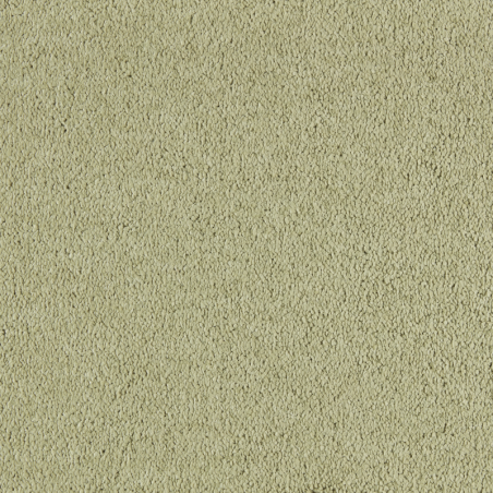 Wzór plamoodpornej luksusowej wykładziny dywanowej SmartStrand Incasa UVO.0540